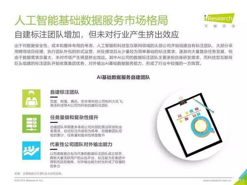 中国人工智能基础数据服务行业报告 引领创新的人工智能基础软件开发