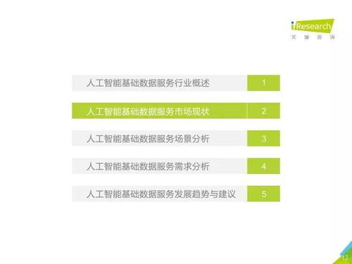 中国人工智能基础数据服务行业报告——聚焦人工智能基础软件开发
