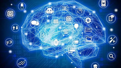 武侯教育界的硬核科技 人工智能基础软件开发引领未来教育革新